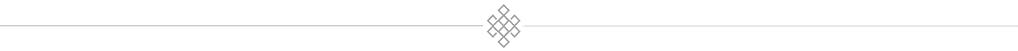 divider-icon-1
