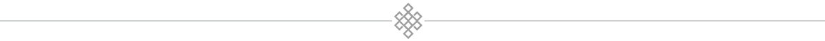 divider-icon